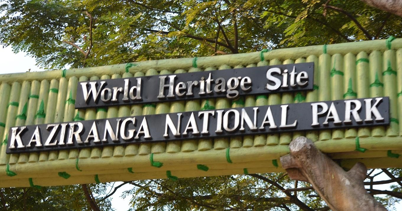 Kaziranga