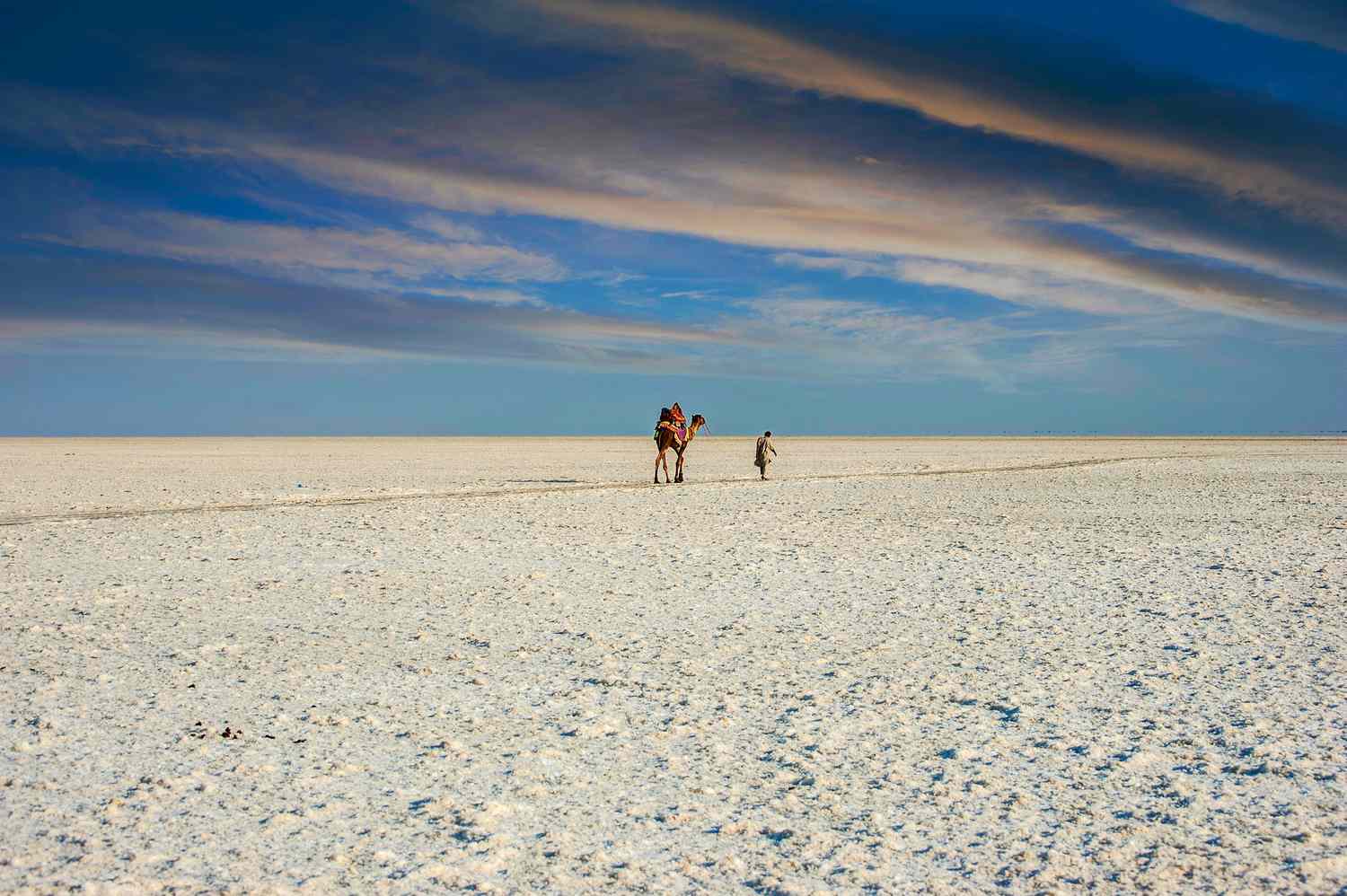 White Rann