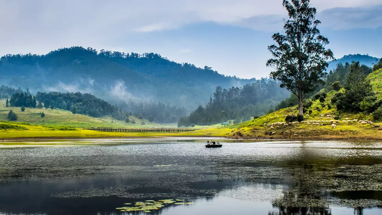Top 20 India Tour Packages for Families, Couples, and Solo Travellers in 2026