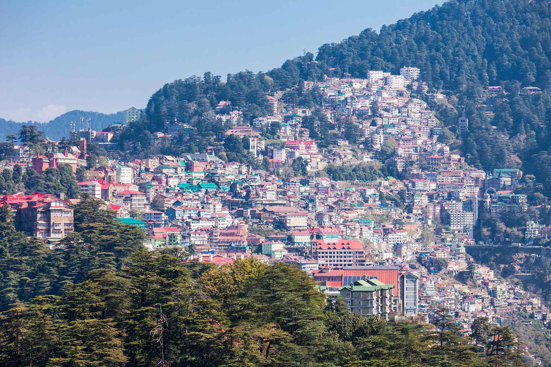 Solan